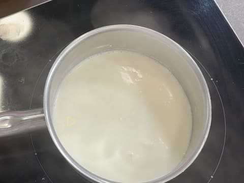 Tronchetto di Natale all'Ananas, Cocco e Pralinato al Sesamo Nero - 53