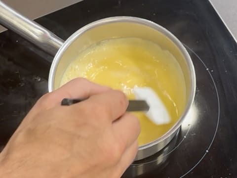 Tronchetto di Natale all'Ananas, Cocco e Pralinato al Sesamo Nero - 56