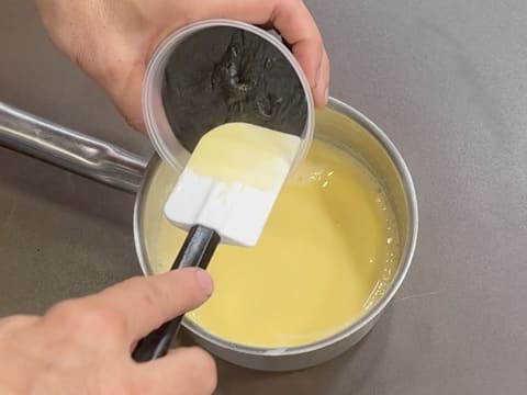 Tronchetto di Natale all'Ananas, Cocco e Pralinato al Sesamo Nero - 59