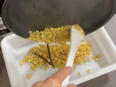 Tronchetto di Natale all'Ananas, Cocco e Pralinato al Sesamo Nero - 79