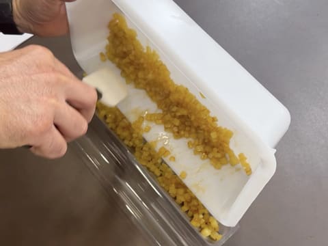 Tronchetto di Natale all'Ananas, Cocco e Pralinato al Sesamo Nero - 81