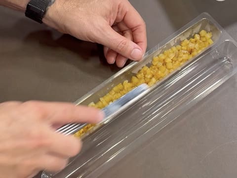 Tronchetto di Natale all'Ananas, Cocco e Pralinato al Sesamo Nero - 82