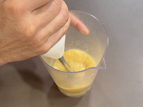 Tronchetto di Natale all'Ananas, Cocco e Pralinato al Sesamo Nero - 84