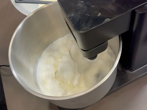 Tronchetto di Natale all'Ananas, Cocco e Pralinato al Sesamo Nero - 87