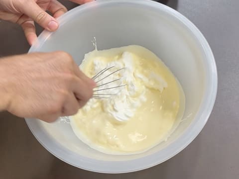 Tronchetto di Natale all'Ananas, Cocco e Pralinato al Sesamo Nero - 88