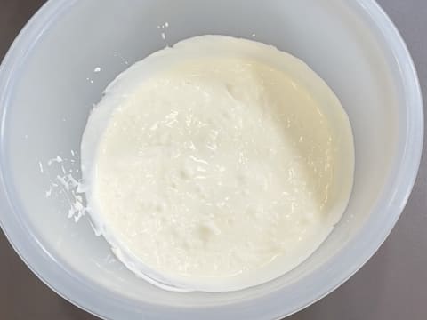 Tronchetto di Natale all'Ananas, Cocco e Pralinato al Sesamo Nero - 89