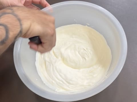 Tronchetto di Natale all'Ananas, Cocco e Pralinato al Sesamo Nero - 91