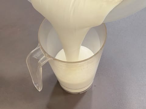 Tronchetto di Natale all'Ananas, Cocco e Pralinato al Sesamo Nero - 92