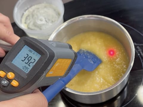 Tronchetto di Natale all'Ananas, Cocco e Pralinato al Sesamo Nero - 97