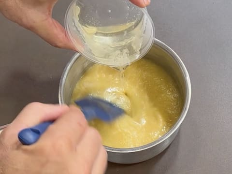 Tronchetto di Natale all'Ananas, Cocco e Pralinato al Sesamo Nero - 98