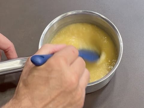 Tronchetto di Natale all'Ananas, Cocco e Pralinato al Sesamo Nero - 99