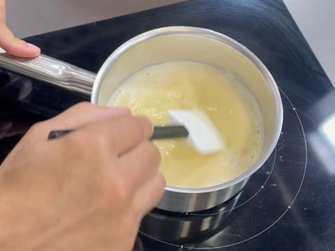 Tronchetto di Natale al cioccolato e frutti esotici - 109