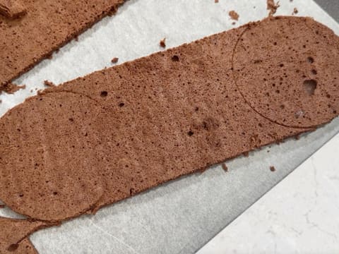 Tronchetto di Natale al cioccolato e frutti esotici - 123