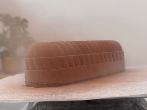 Tronchetto di Natale al cioccolato e frutti esotici - 156