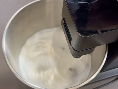 Tronchetto di Natale al cioccolato e frutti esotici - 18
