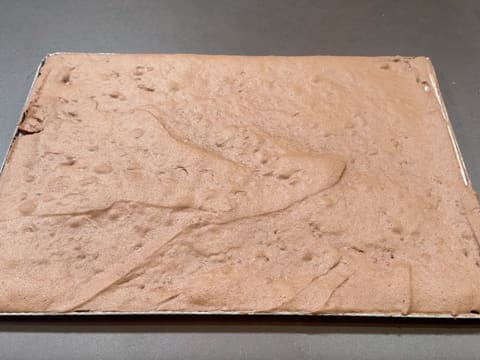 Tronchetto di Natale al cioccolato e frutti esotici - 35