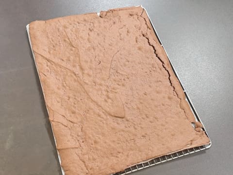 Tronchetto di Natale al cioccolato e frutti esotici - 37