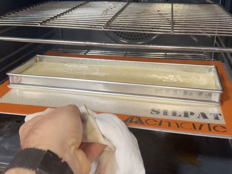 Tronchetto di Natale al kombucha, mela verde e vaniglia affumicata - 10