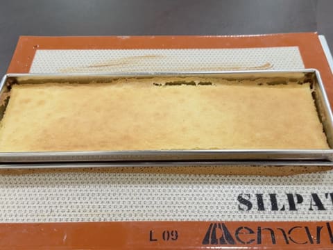 Tronchetto di Natale al kombucha, mela verde e vaniglia affumicata - 12