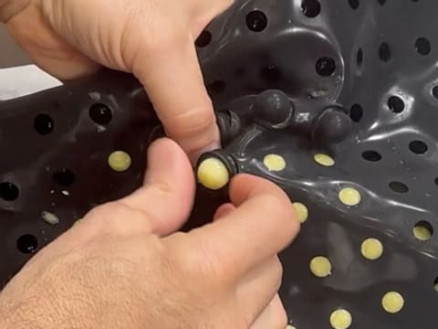 Tronchetto di Natale al kombucha, mela verde e vaniglia affumicata - 143