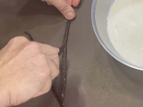 Tronchetto di Natale al kombucha, mela verde e vaniglia affumicata - 57