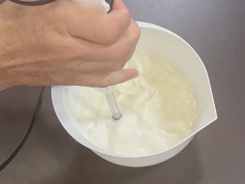 Tronchetto di Natale al kombucha, mela verde e vaniglia affumicata - 63