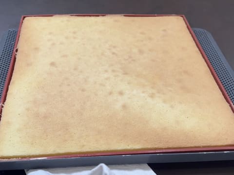 Tronchetto di Natale ai lamponi e pistacchio - 19