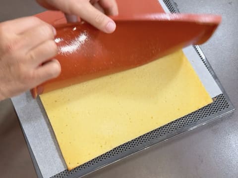 Tronchetto di Natale ai lamponi e pistacchio - 22