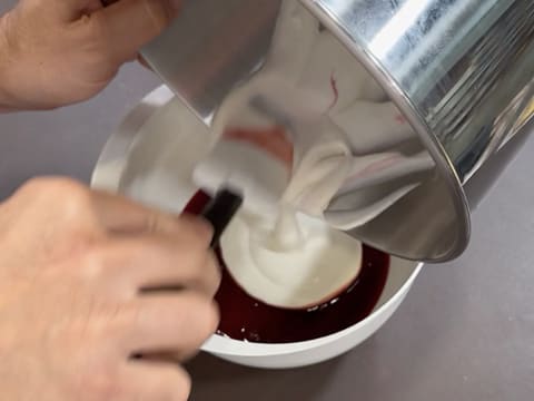 Tronchetto di Natale ai lamponi e pistacchio - 34