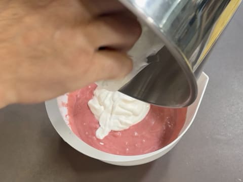 Tronchetto di Natale ai lamponi e pistacchio - 36