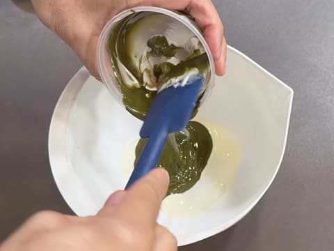 Tronchetto di Natale ai lamponi e pistacchio - 45