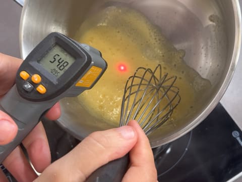 Tronchetto di Natale ai lamponi e pistacchio - 7
